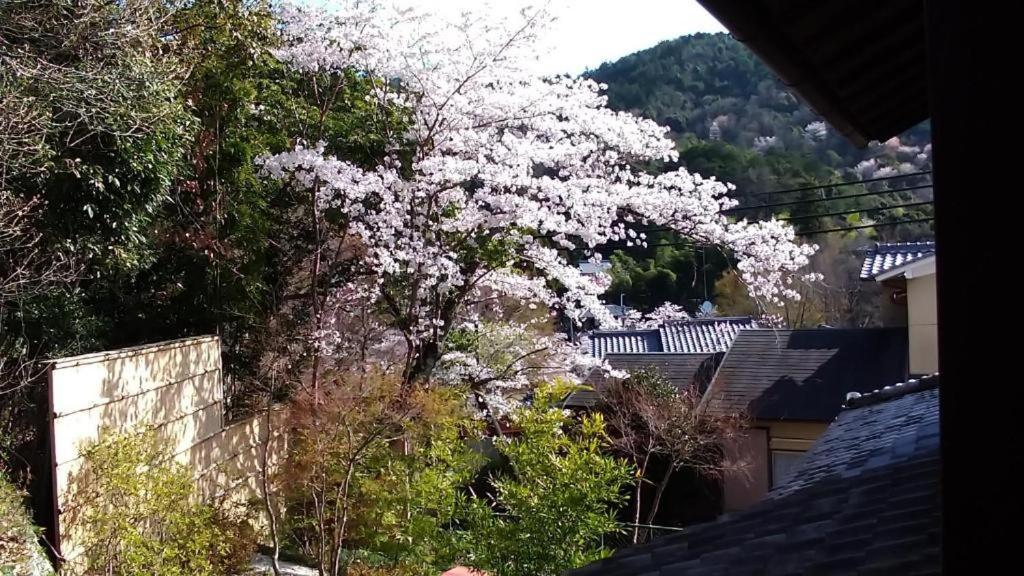 金閣荘 Hotel Kyoto Luaran gambar